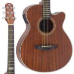 VIOLAO STRINBERG SA200C MGS ARTISTICO FOSCO