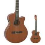 VIOLAO STRINBERG SL200C MGS FLAT NYLON FOSCO
