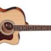 VIOLAO HOFMA JUMBO  ELETRICO HMJ223