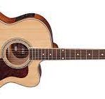 VIOLAO HOFMA JUMBO  ELETRICO HMJ223