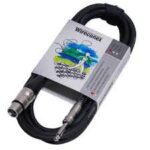 CABO WIRECONEX MICROFONE P10-XLR 5MT