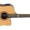 VIOLAO STRINBERG SD200C NATURAL FOLK FOSCO - Image 2