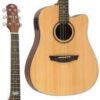 VIOLAO STRINBERG SD200C NATURAL FOLK FOSCO