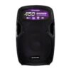 CAIXA ATIVA 12"  WALDMAN RC-450X