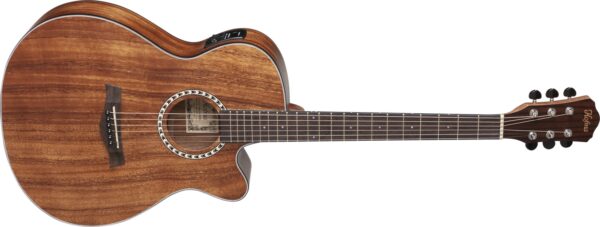 VIOLAO AUD.  CPT ATIVA  HMA285STNT - Imagem 2